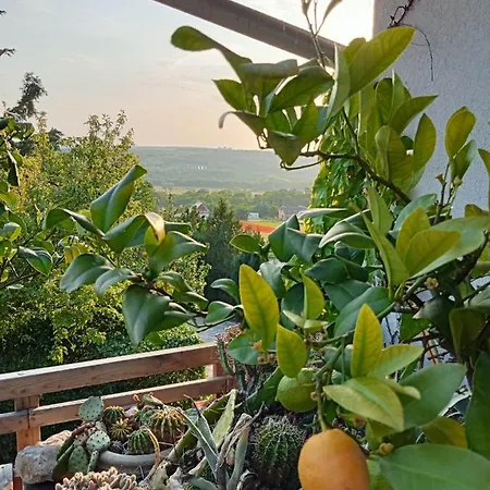 Liget Vendeghaz Harsfa U 11 Guest house Cserszegtomaj